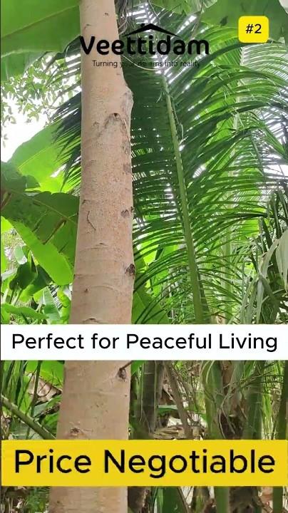 Farm House for Sale – Pallividai, No. 1 Tollgate, Trichy