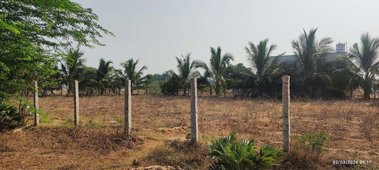 Farm Land for Sale – Prime Location Near Trichy to Dindigul Highway