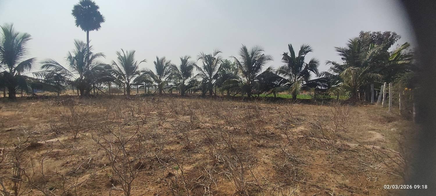 Farm Land for Sale – Prime Location Near Trichy to Dindigul Highway