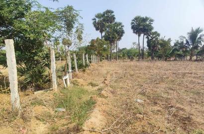 Farm Land for Sale – Prime Location Near Trichy to Dindigul Highway