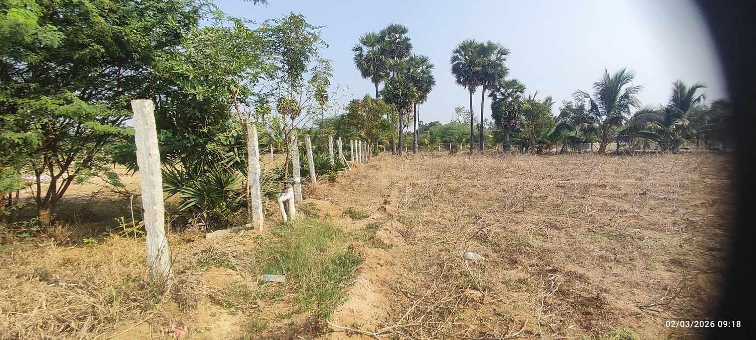 Farm Land for Sale – Prime Location Near Trichy to Dindigul Highway