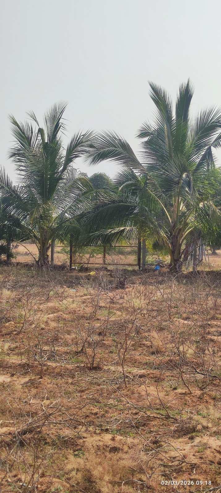 Farm Land for Sale – Prime Location Near Trichy to Dindigul Highway