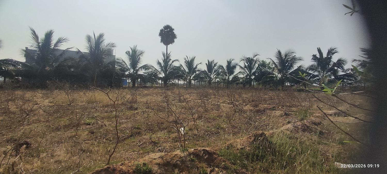 Farm Land for Sale – Prime Location Near Trichy to Dindigul Highway