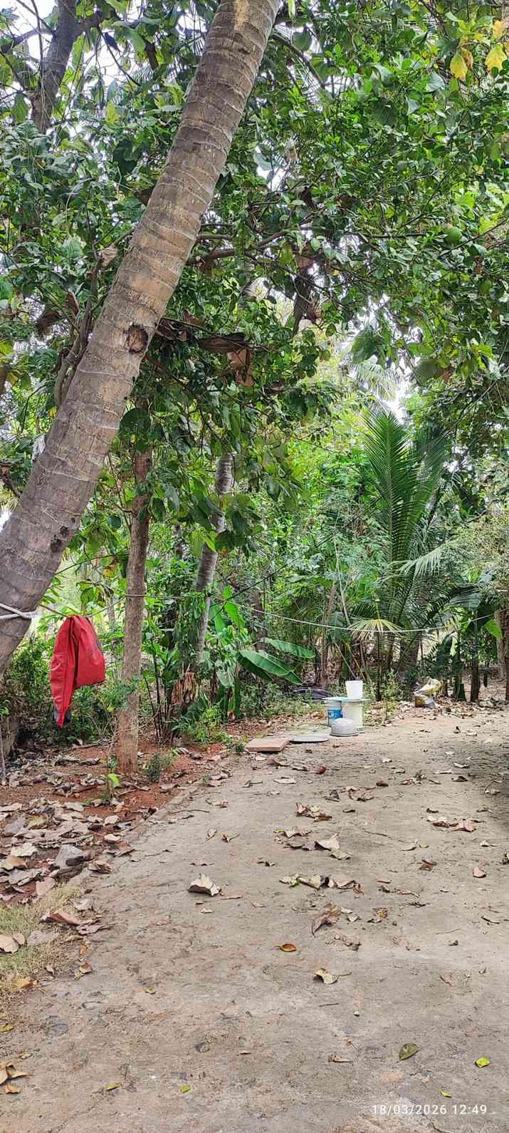 Farm House for Sale – Pallividai, No. 1 Tollgate, Trichy