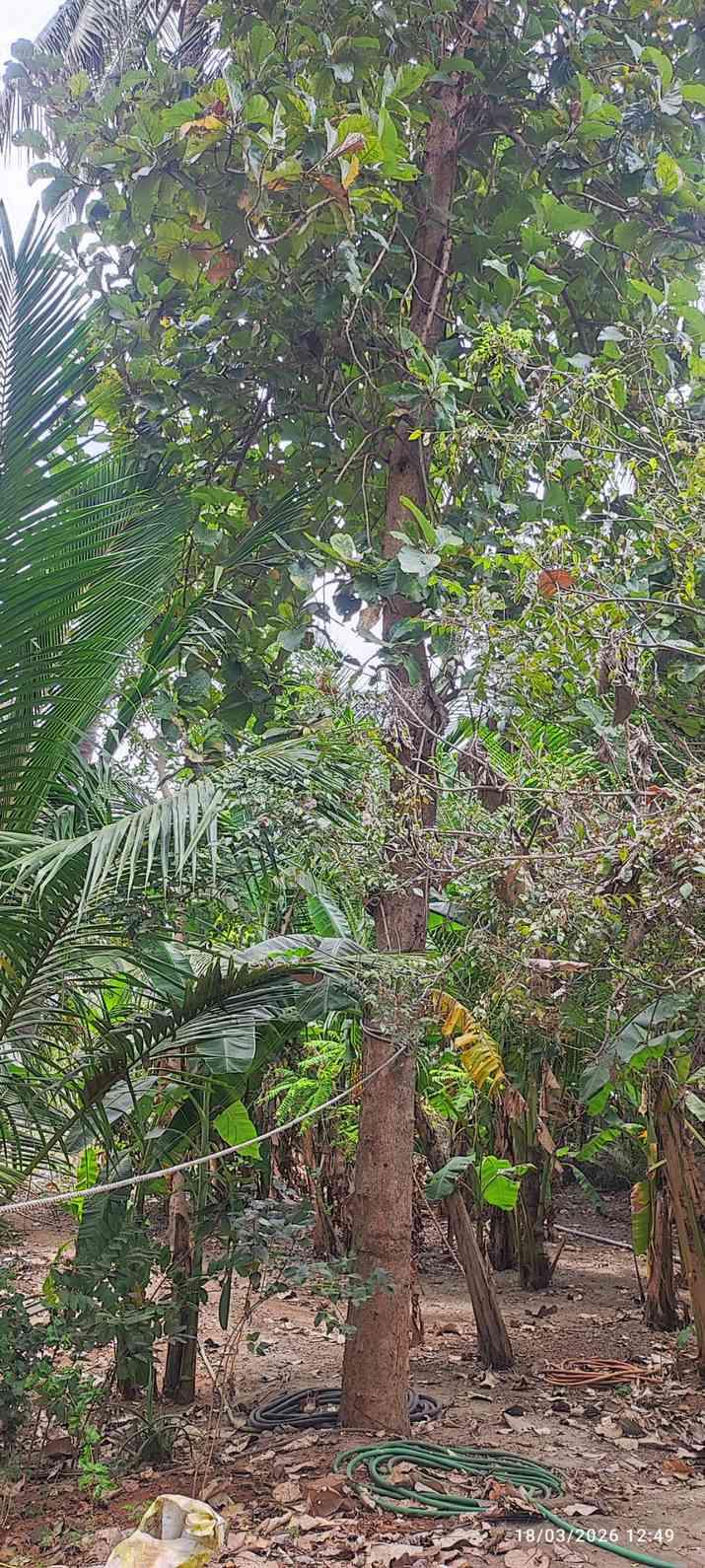 Farm House for Sale – Pallividai, No. 1 Tollgate, Trichy