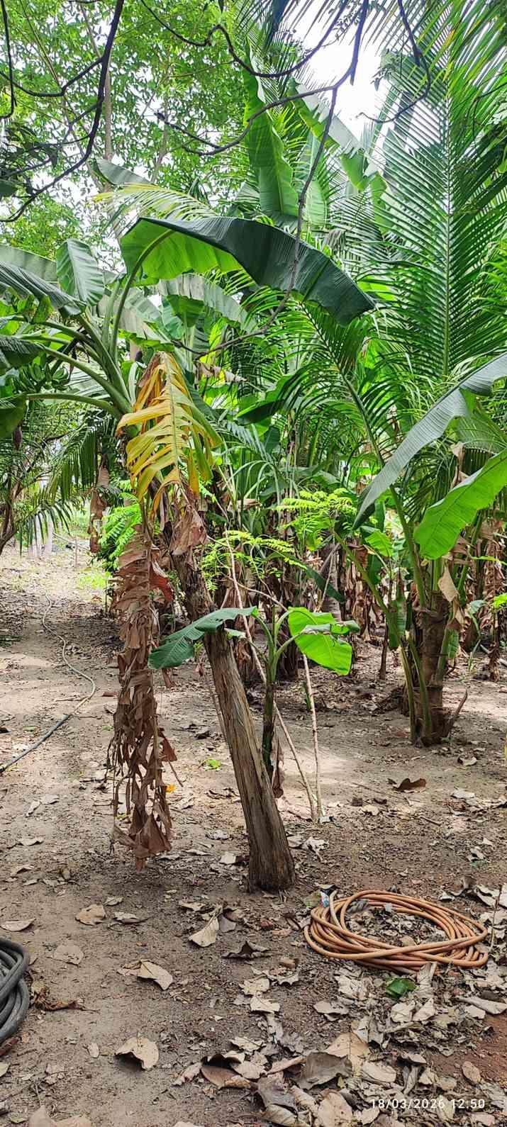 Farm House for Sale – Pallividai, No. 1 Tollgate, Trichy