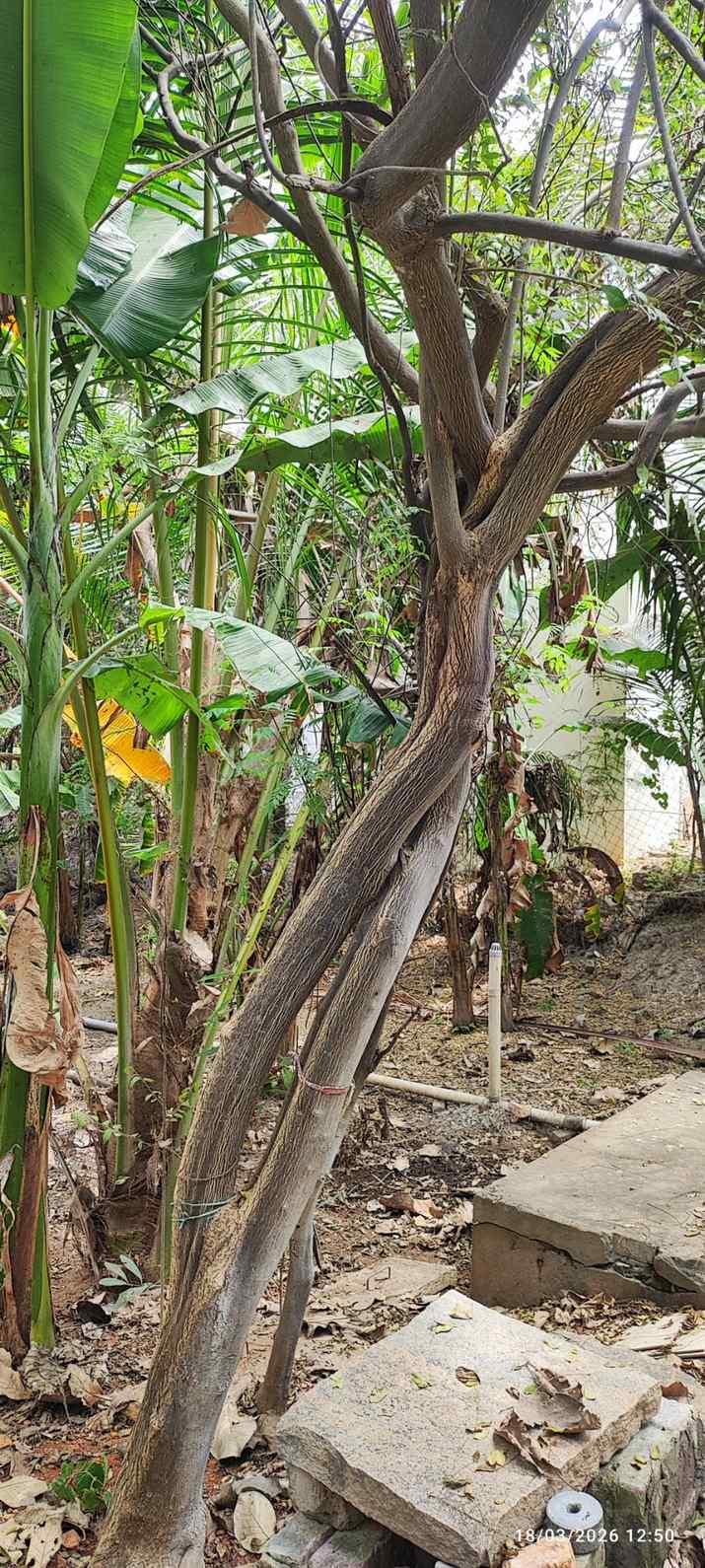 Farm House for Sale – Pallividai, No. 1 Tollgate, Trichy