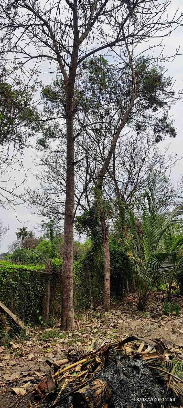 Farm House for Sale – Pallividai, No. 1 Tollgate, Trichy