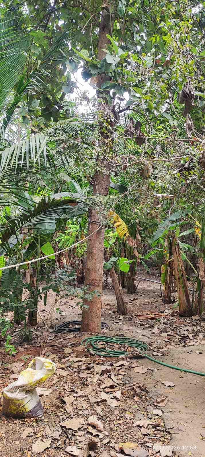 Farm House for Sale – Pallividai, No. 1 Tollgate, Trichy