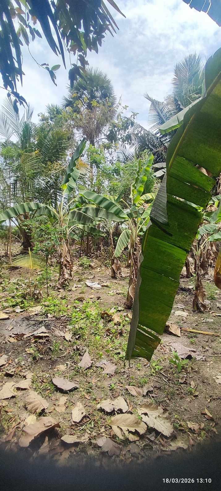 Farm House for Sale – Pallividai, No. 1 Tollgate, Trichy