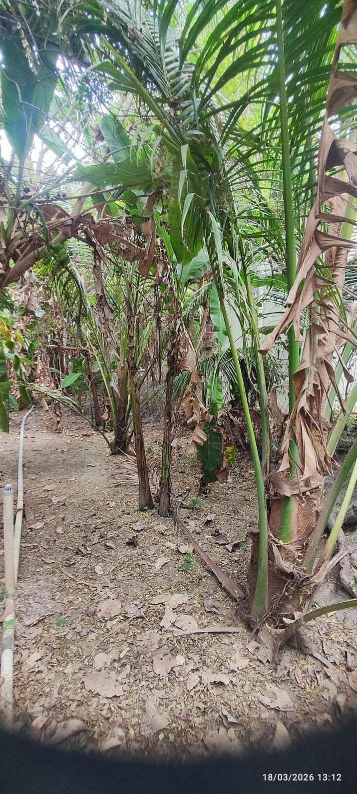 Farm House for Sale – Pallividai, No. 1 Tollgate, Trichy